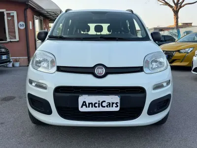 Usata Fiat Panda Easy 80 CV (58 kW) 2014 Bianco Utilitaria