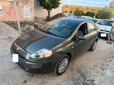 Usata Fiat Punto Evo Dynamic 65 CV (47 kW) 2010 Verde Utilitaria