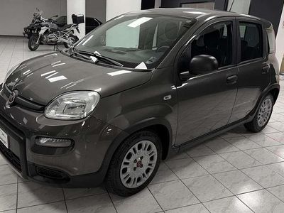 Usata Fiat Panda S 69 CV (50 kW) 2023 Grigio Utilitaria