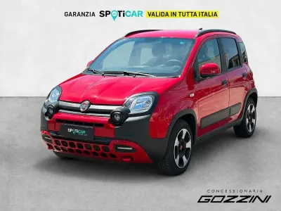 Usata Fiat Panda Cross Cross 69 CV (50 kW) 2024 Rosso Utilitaria