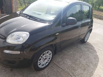 usata Fiat Panda Panda1.2 Pop 69cv E6