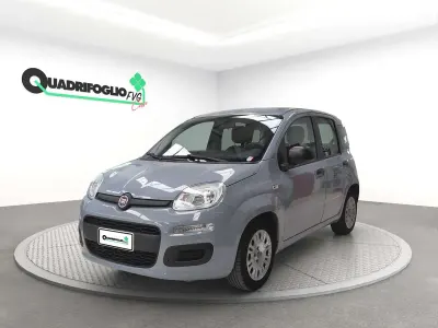 Usata Fiat Panda City Life 69 CV (50 kW) 2022 Grigio Utilitaria