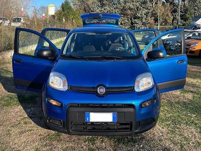 Usata Fiat Panda S 69 CV (50 kW) 2024 Blu/azzurro Utilitaria