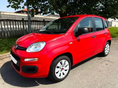 Usata Fiat Panda Lounge 69 CV (50 kW) 2017 Rosso Utilitaria
