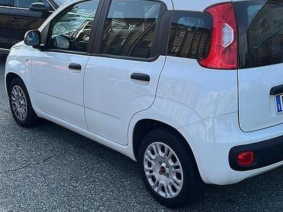 Usata Fiat Panda 69 CV (50 kW) 2019 Utilitaria