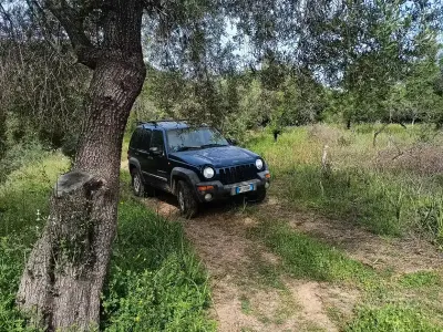 Usata Jeep Cherokee 143 CV (105 kW) 2002 SUV
