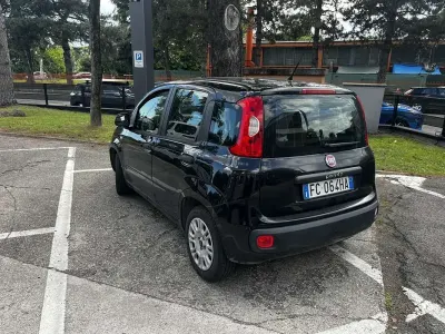 Usata Fiat Panda Easy 69 CV (50 kW) 2016 Utilitaria