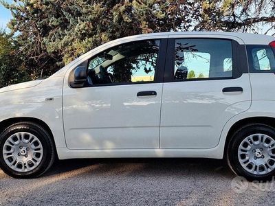 Nuova Fiat Panda S 70 CV (51 kW) 2025 Bianco Utilitaria