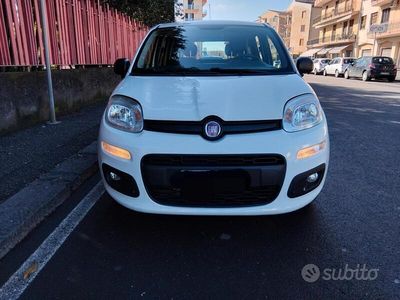 Usata Fiat Panda Easy 95 CV (69 kW) 2018 Bianco Utilitaria