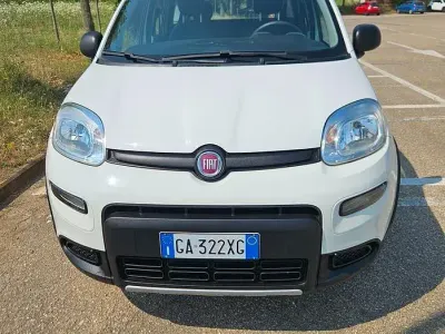 Usata Fiat Panda 4x4 S 84 CV (61 kW) 2020 Bianco Utilitaria