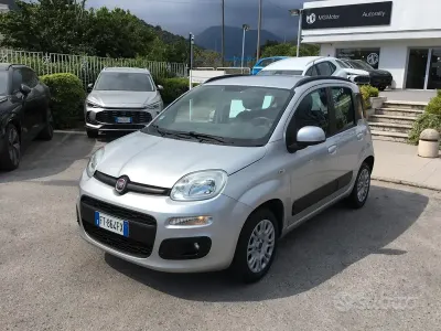 Usata Fiat Panda Lounge 69 CV (50 kW) 2017 Grigio Utilitaria