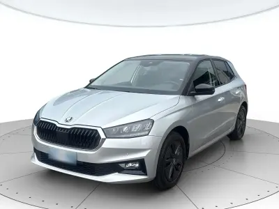Usata Skoda Fabia