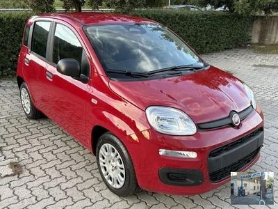 Nuova Fiat Panda Launch Edition 69 CV (50 kW) 2025 Rosso Utilitaria