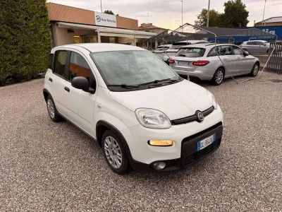 Usata Fiat Panda 69 CV (50 kW) 2022 Bianco Utilitaria