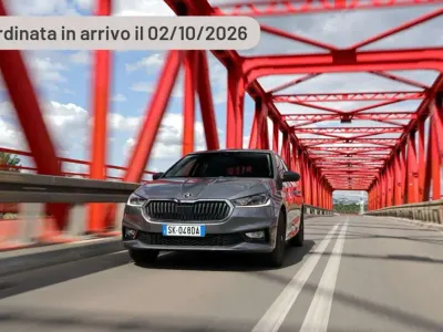 Usata Skoda Fabia
