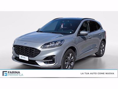 Usata Ford Kuga ST-Line X 225 CV (165 kW) 2023 Argento SUV