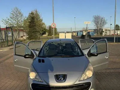 Usata Peugeot 206