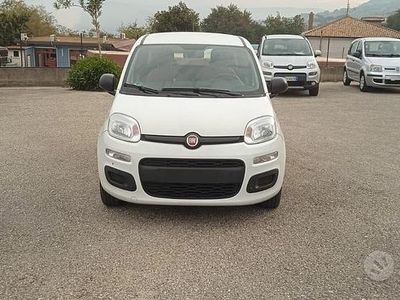 Usata Fiat Panda Easy 69 CV (50 kW) 2020 Bianco Utilitaria