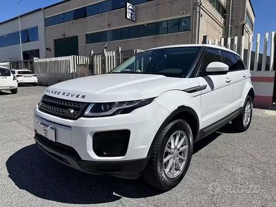 Usata Land Rover Range Rover evoque SE 150 CV (110 kW) 2017 Bianco SUV
