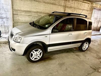 Usata Fiat Panda 4x4 Climbing 60 CV (44 kW) 2005 Argento Utilitaria