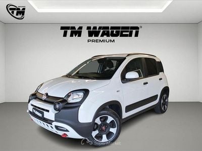 Usata Fiat Panda Cross Cross 69 CV (50 kW) 2024 Bianco Utilitaria