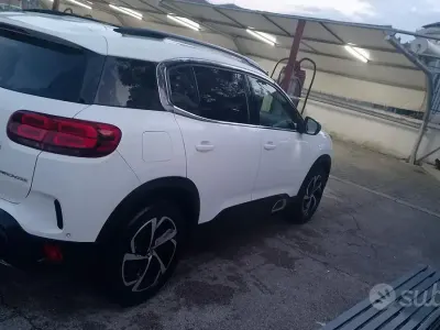 Usata Citroën C5 Shine 131 CV (96 kW) 2019 Bianco Station wagon