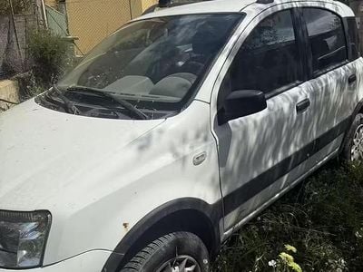 Usado Fiat Panda 4x4 69 CV (50 kW) 2006 Blanco Utilitario