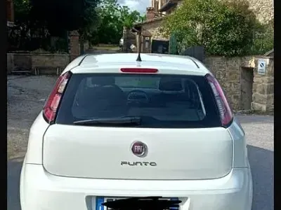 Usata Fiat Punto 75 CV (55 kW) 2012 Bianco Utilitaria