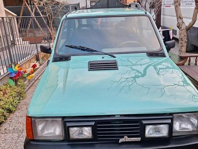 Usata Fiat Panda 54 CV (39 kW) 2001 Verde Utilitaria