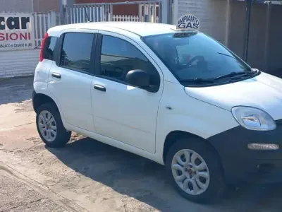 Usata Fiat Panda 84 CV (61 kW) 2020 Bianco Utilitaria
