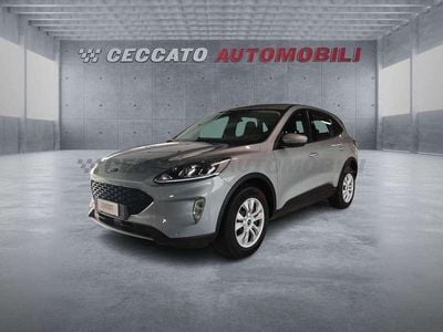 Usata Ford Kuga Titanium X 150 CV (110 kW) 2024 Grigio SUV