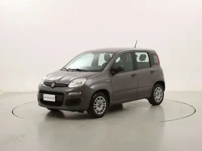 Usata Fiat Panda Easy 69 CV (50 kW) 2021 Antracite Utilitaria