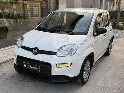 Usata Fiat Panda City Life 70 CV (51 kW) 2022 Bianco Utilitaria