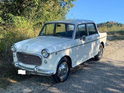 Usata Fiat 1100D 50 CV (36 kW) 1961 Bianco Berlina