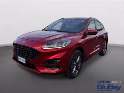 Usado Ford Kuga ST-Line 225 CV (165 kW) 2021 Rojo SUV