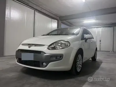 Usata Fiat Punto Evo 75 CV (55 kW) 2011 Bianco Utilitaria