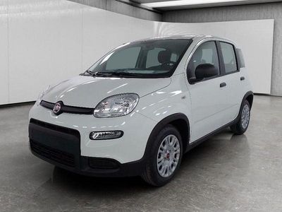 Usata Fiat Panda S 70 CV (51 kW) 2023 Bianco Utilitaria