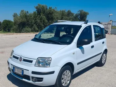Usata Fiat Panda Dynamic 69 CV (50 kW) 2010 Grigio Utilitaria