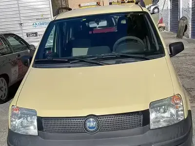 Usata Fiat Panda 4x4 Dynamic 69 CV (50 kW) 2007 Giallo Utilitaria