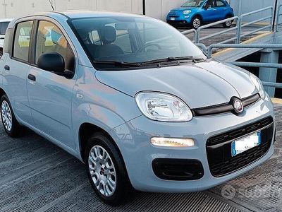 Usata Fiat Panda Easy 69 CV (50 kW) 2019 Grigio moda Utilitaria