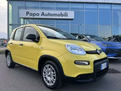 Usata Fiat Panda 69 CV (50 kW) 2024 Giallo Utilitaria