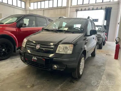 Usata Fiat Panda Dynamic 60 CV (44 kW) 2009 Grigio Utilitaria