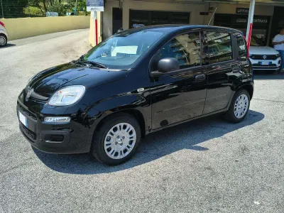 Nuova Fiat Panda Icon 69 CV (50 kW) 2026 Azzurro Utilitaria