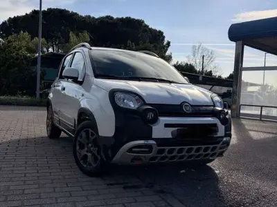 Usata Fiat Panda Cross Cross 71 CV (52 kW) 2022 Utilitaria