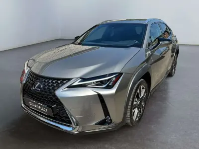 Usata Lexus UX 250h