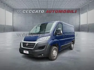 Usata Fiat Ducato 116 CV (85 kW) 2019 Blu Furgone