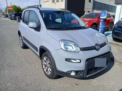 Usata Fiat Panda 4x4 95 CV (69 kW) 2019 Grigio Utilitaria