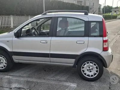 Usata Fiat Panda 4x4 60 CV (44 kW) 2005 Grigio Utilitaria