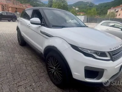 Usata Land Rover Range Rover 150 CV (110 kW) 2016 Bianco SUV
