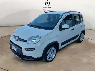 Usata Fiat Panda City Life 69 CV (50 kW) 2023 Bianco Utilitaria